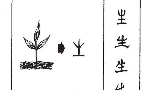 益生菌粉和益生菌有什么区别-益生菌粉与冲剂区别网—知名的益生菌粉与冲剂哪个好网站,分享益生菌粉与冲剂哪个好知识